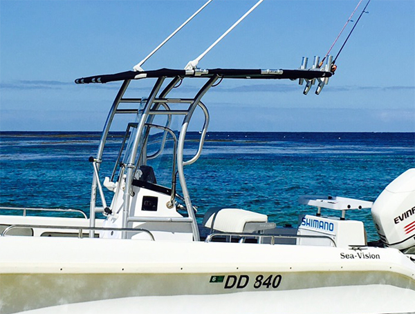 ¡Promoción! Dolphin Pro2 Conso - Fishing Rod Holder reseña y precio